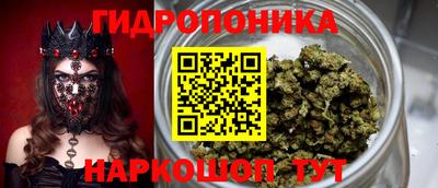 прущие грибы Павлово