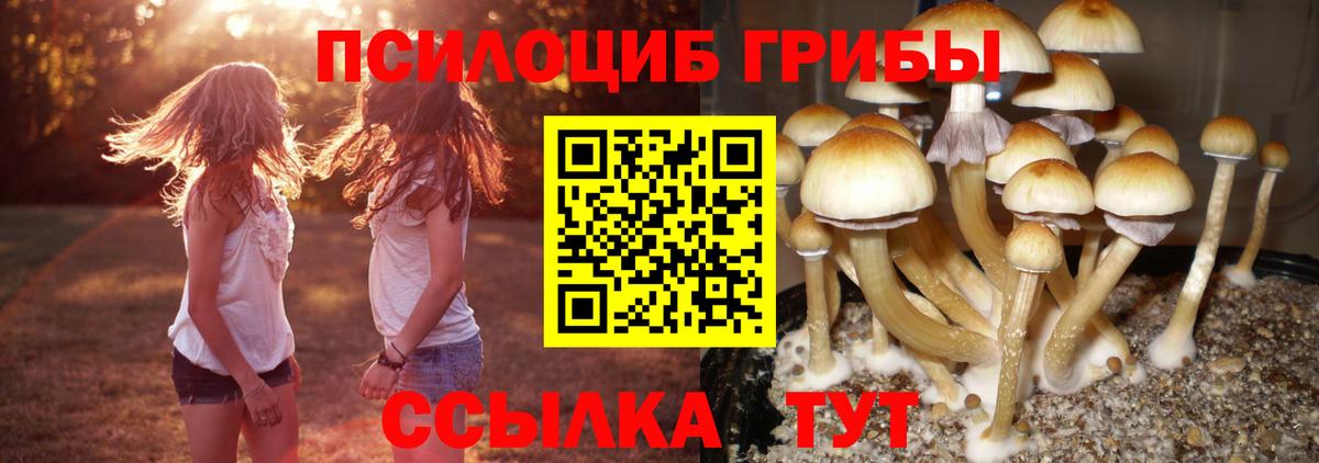Псилоцибиновые грибы прущие грибы  Галлюциногенные грибы Psilocybine cubensis  Вход с VPN  Нововоронеж 